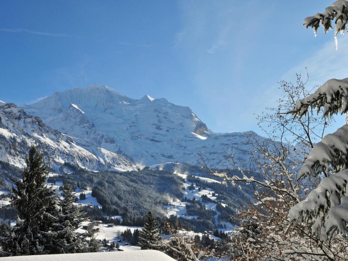 Apartment Eigersonne By Interhome Wengen Exterior foto